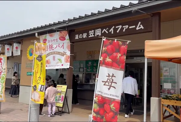 笠岡ベイファーム
