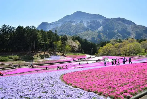 羊山公園