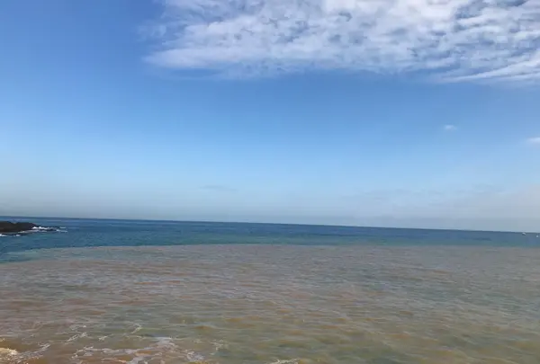 水湳洞　陰陽海