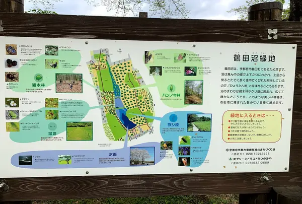 栃木県 鶴田沼緑地