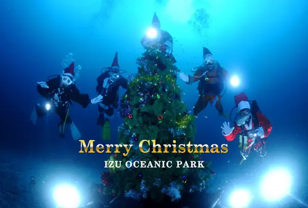 伊豆海洋公園ダイビングセンター