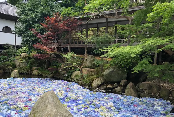 雨引山楽法寺（雨引観音）