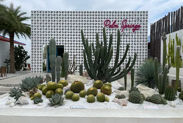 Palm Springs Cafeの写真・動画_image_1109081