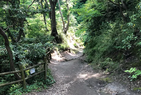 化粧坂切通し