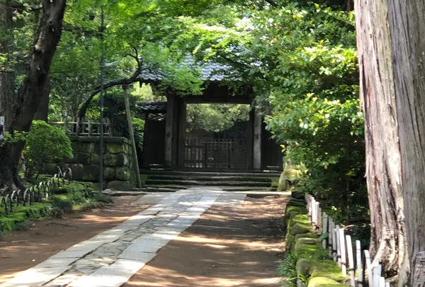 寿福寺の写真・動画_image_1109093