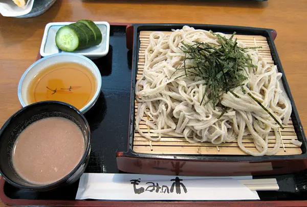 もみの木
