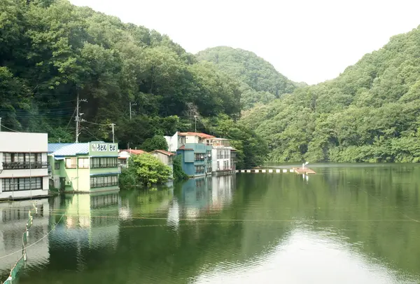 円良田湖の写真・動画_image_111152