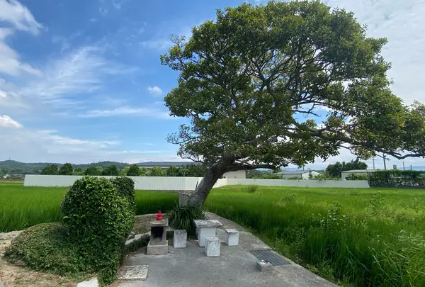龍猫土地公