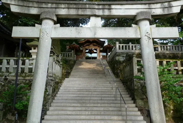 服部神社の写真・動画_image_111175