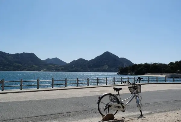 大久野島サイクリングロード