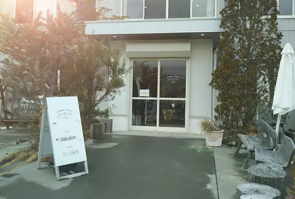 玉木新雌