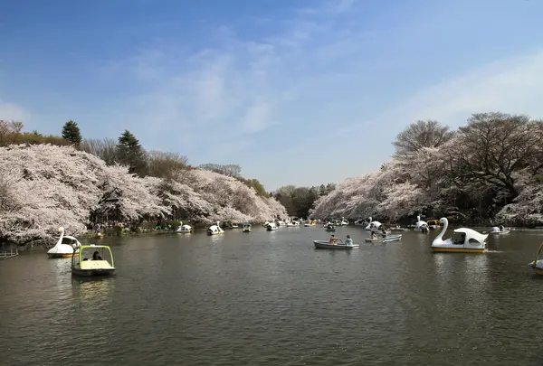 井の頭恩賜公園