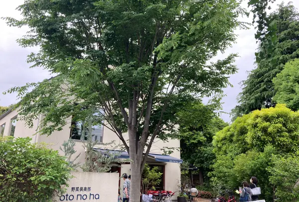 オトノハカフェ