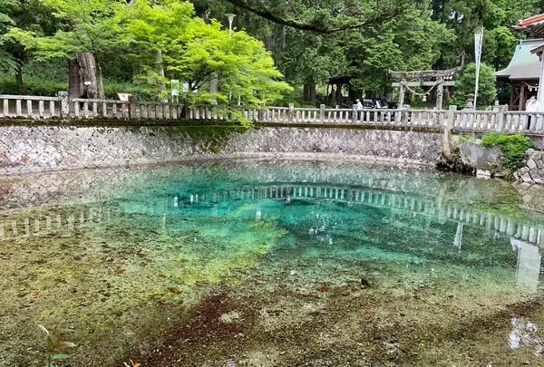 別府弁天池の写真・動画_image_1115642