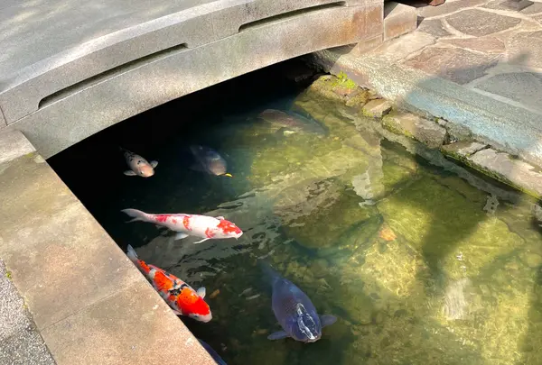 殿町通り