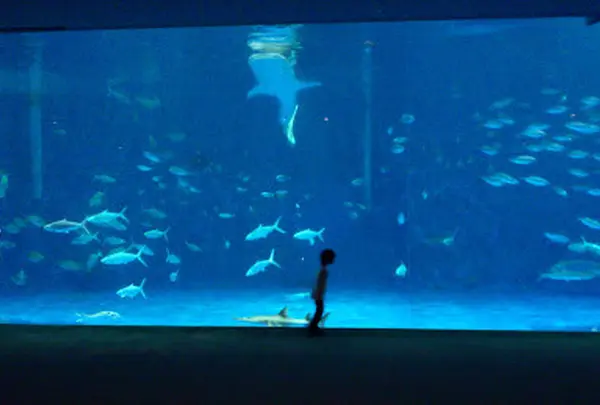 かごしま水族館