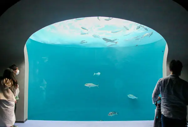 四国水族館の写真・動画_image_1118406