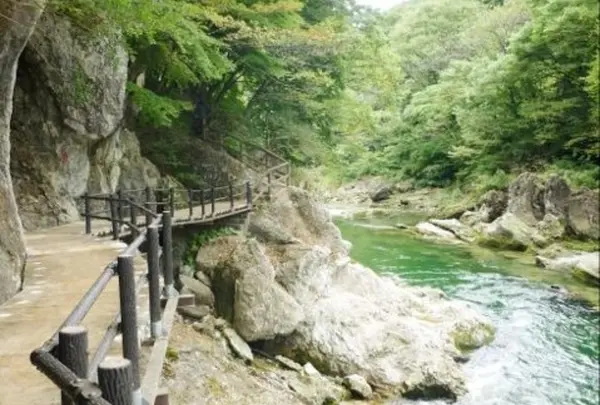諏訪峡