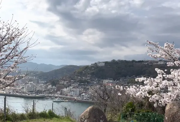 兼吉の丘