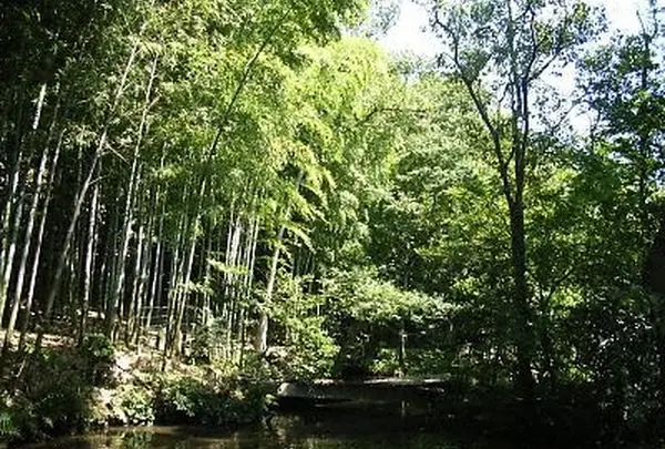 実篤公園