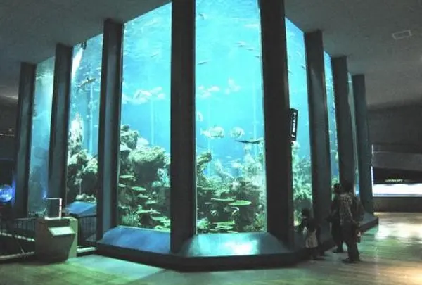 東海大学 社会教育センター海洋科学博物館