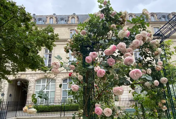 Square Saint-Gilles - Grand-Veneur - Pauline-Roland