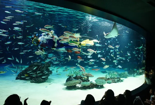 サンシャイン水族館