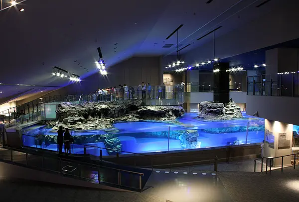 すみだ水族館