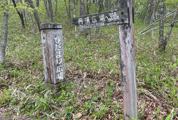 ひだまり広場