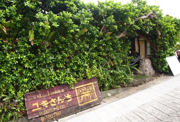 ユキさんち