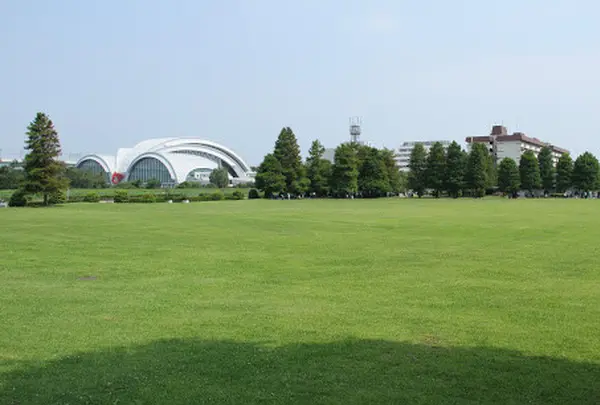 辰巳の森海浜公園
