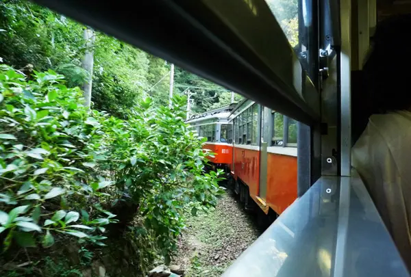 箱根登山鉄道沿線