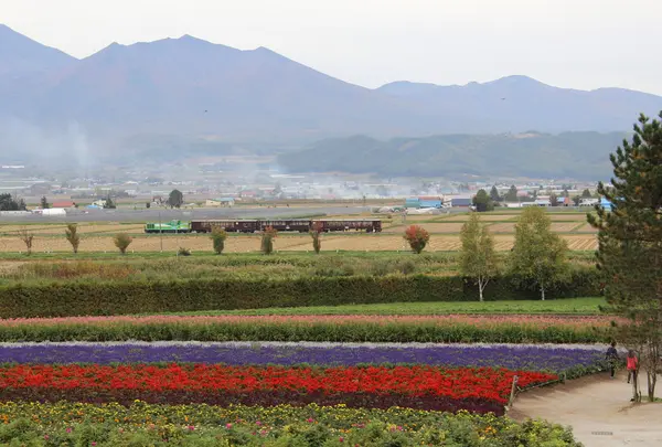 ファーム富田