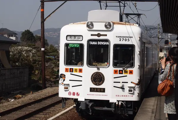 たま電車