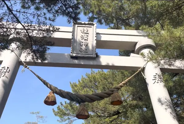 桂濱神社の写真・動画_image_1132099