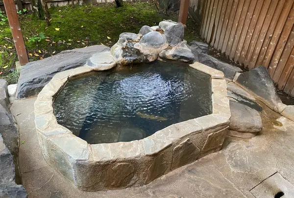 おた里の湯 彩の庄