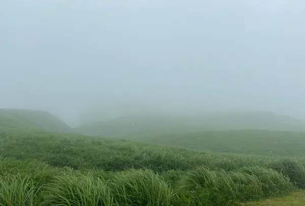 大観峰の写真・動画_image_1133056