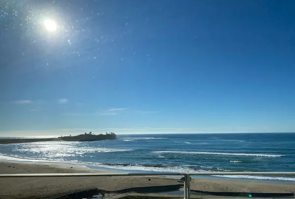 はまなす海洋館の写真・動画_image_1134257