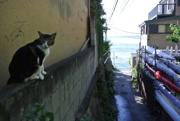江の島