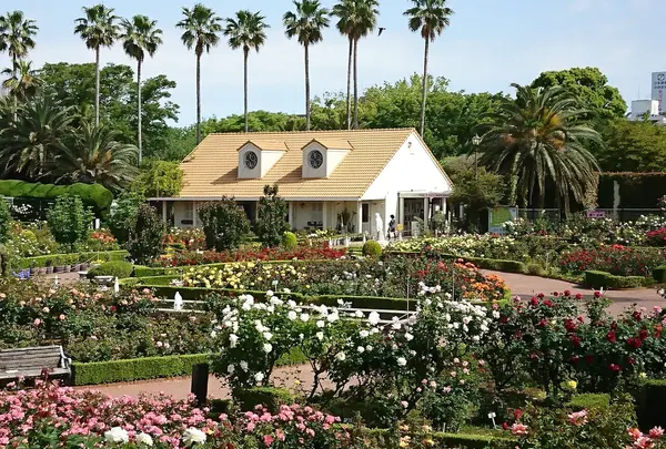 習志野市谷津バラ園