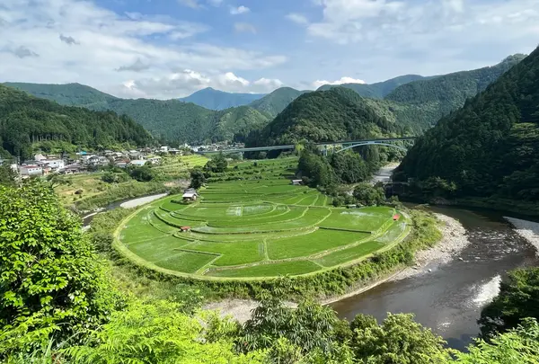あらぎ島展望所の写真・動画_image_1140135