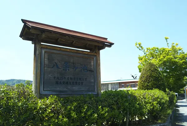 八条ヶ池