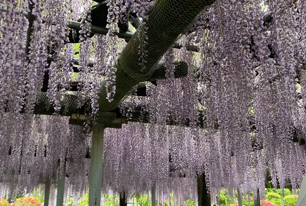 箭弓稲荷神社