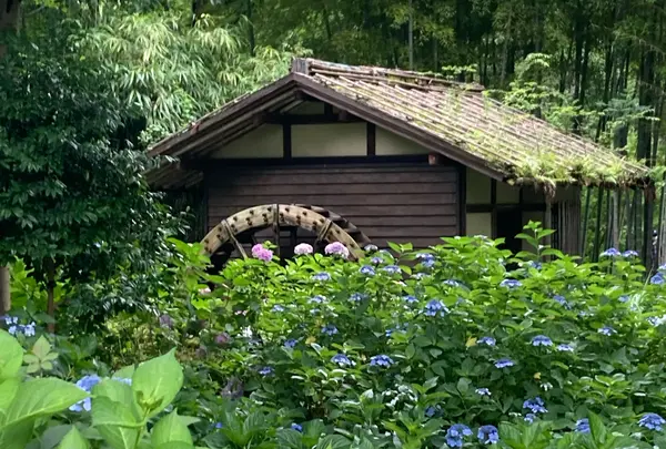 府中 郷土の森