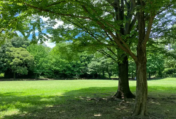 大平公園
