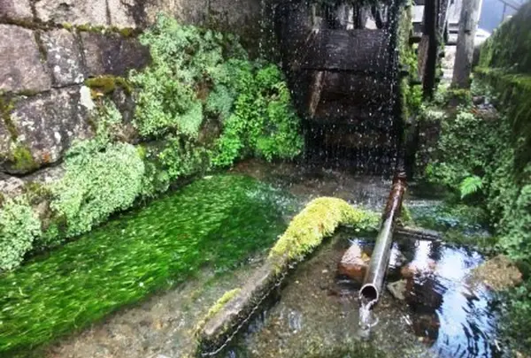 生水の郷の写真・動画_image_114280