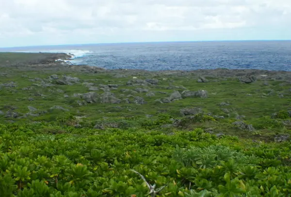 高那崎の写真・動画_image_114404