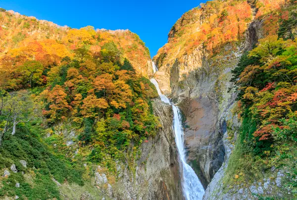 称名滝の写真・動画_image_1144531