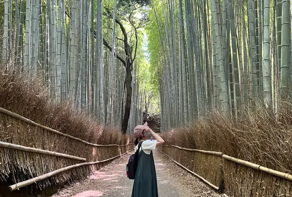 嵯峨野 竹林の道