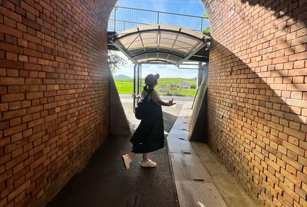 トロッコ亀岡駅